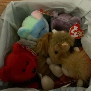 Ty Beanie Babies Mystery Box 3 Bears & 2 Beanies